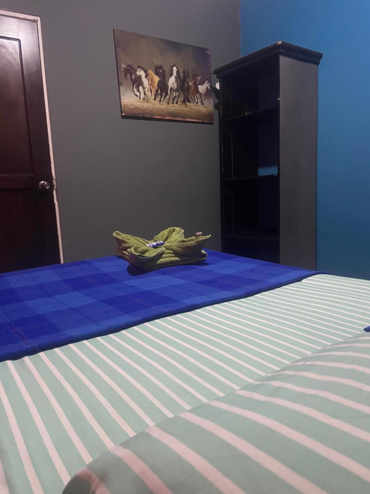 Hostal Vista Boquete Bajo Boquete エクステリア 写真