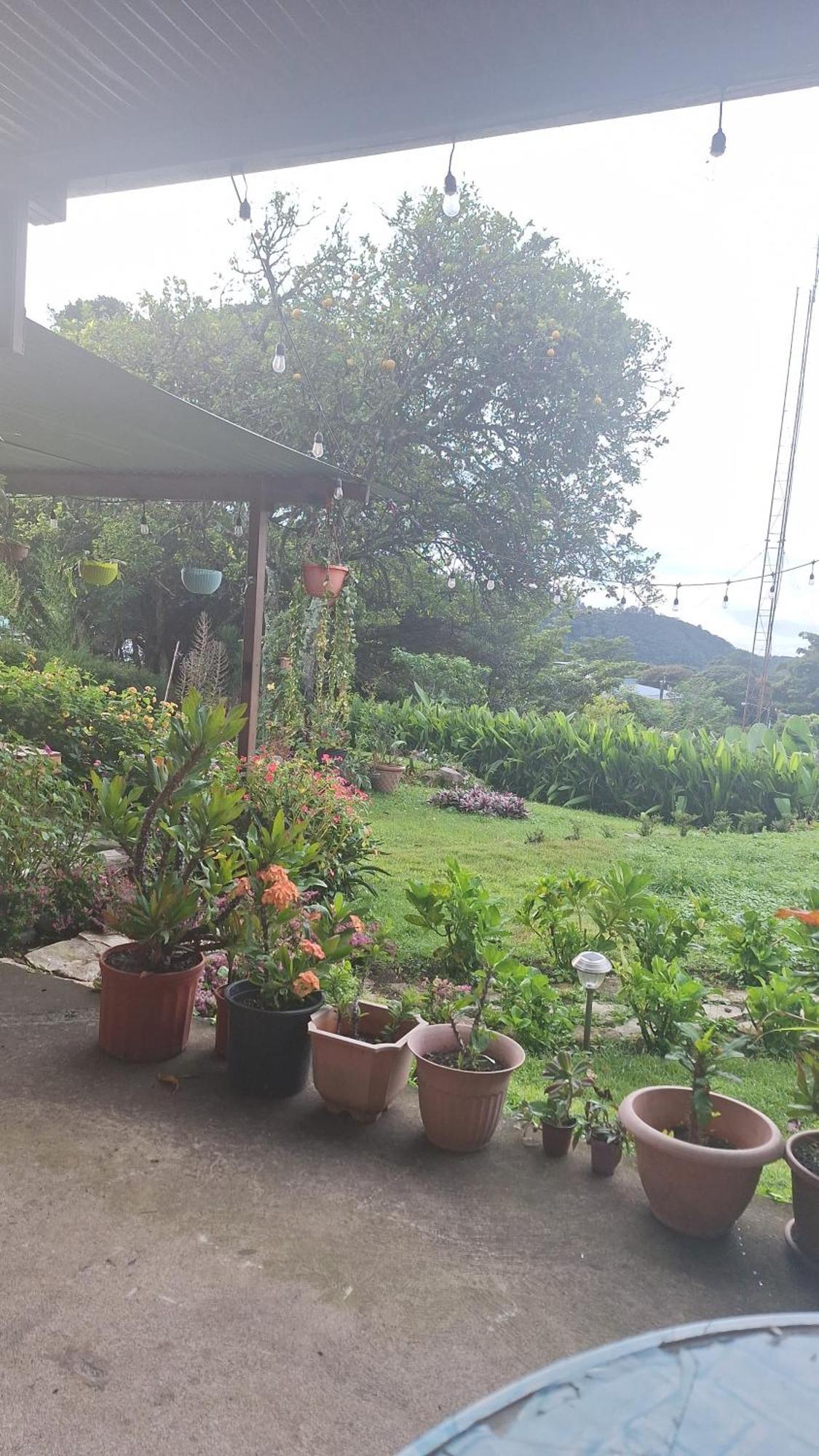 Hostal Vista Boquete Bajo Boquete エクステリア 写真