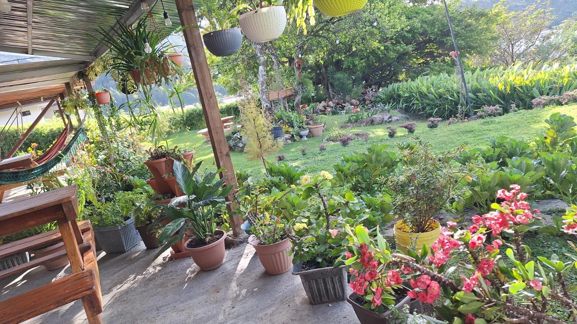 Hostal Vista Boquete Bajo Boquete エクステリア 写真
