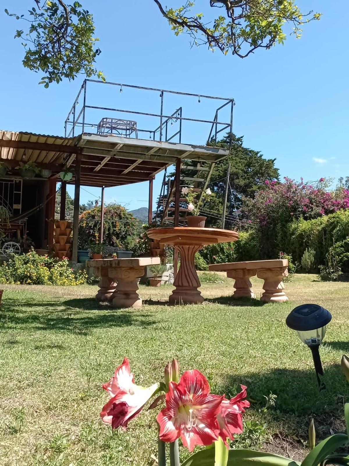 Hostal Vista Boquete Bajo Boquete エクステリア 写真