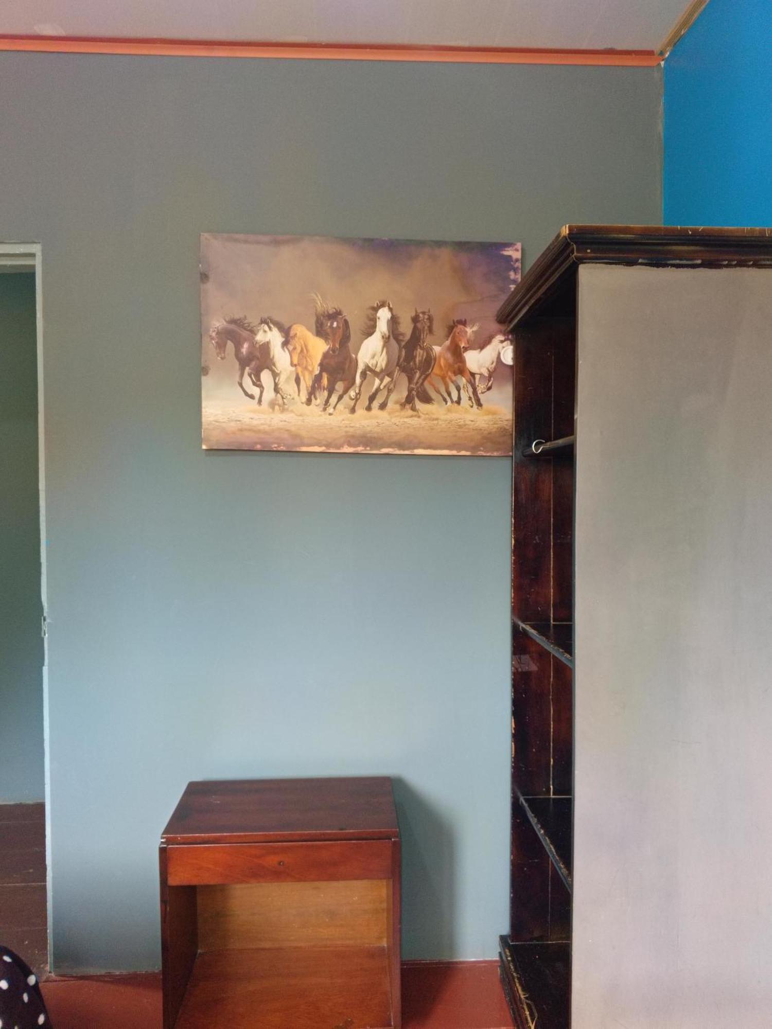 Hostal Vista Boquete Bajo Boquete エクステリア 写真