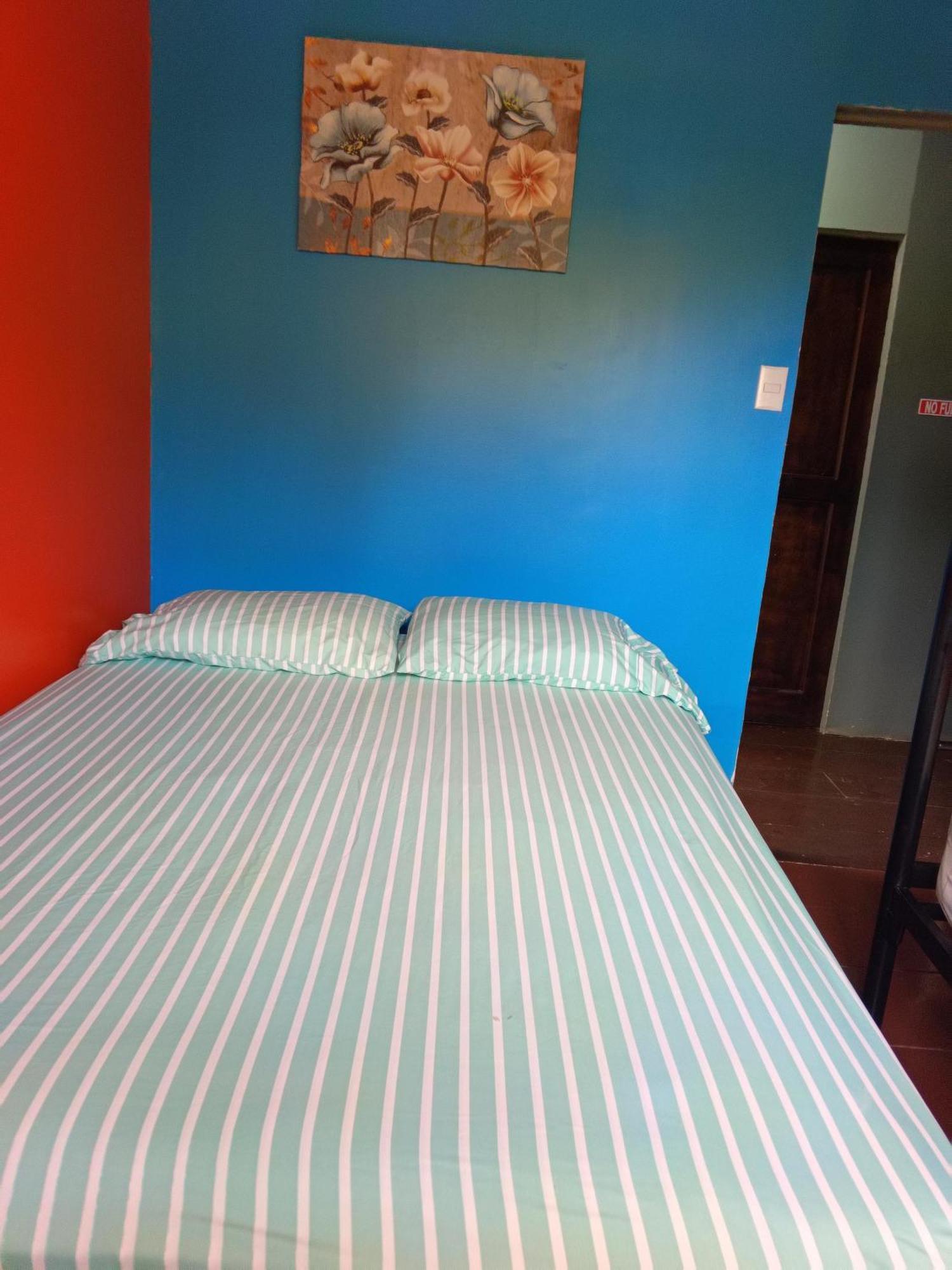 Hostal Vista Boquete Bajo Boquete エクステリア 写真