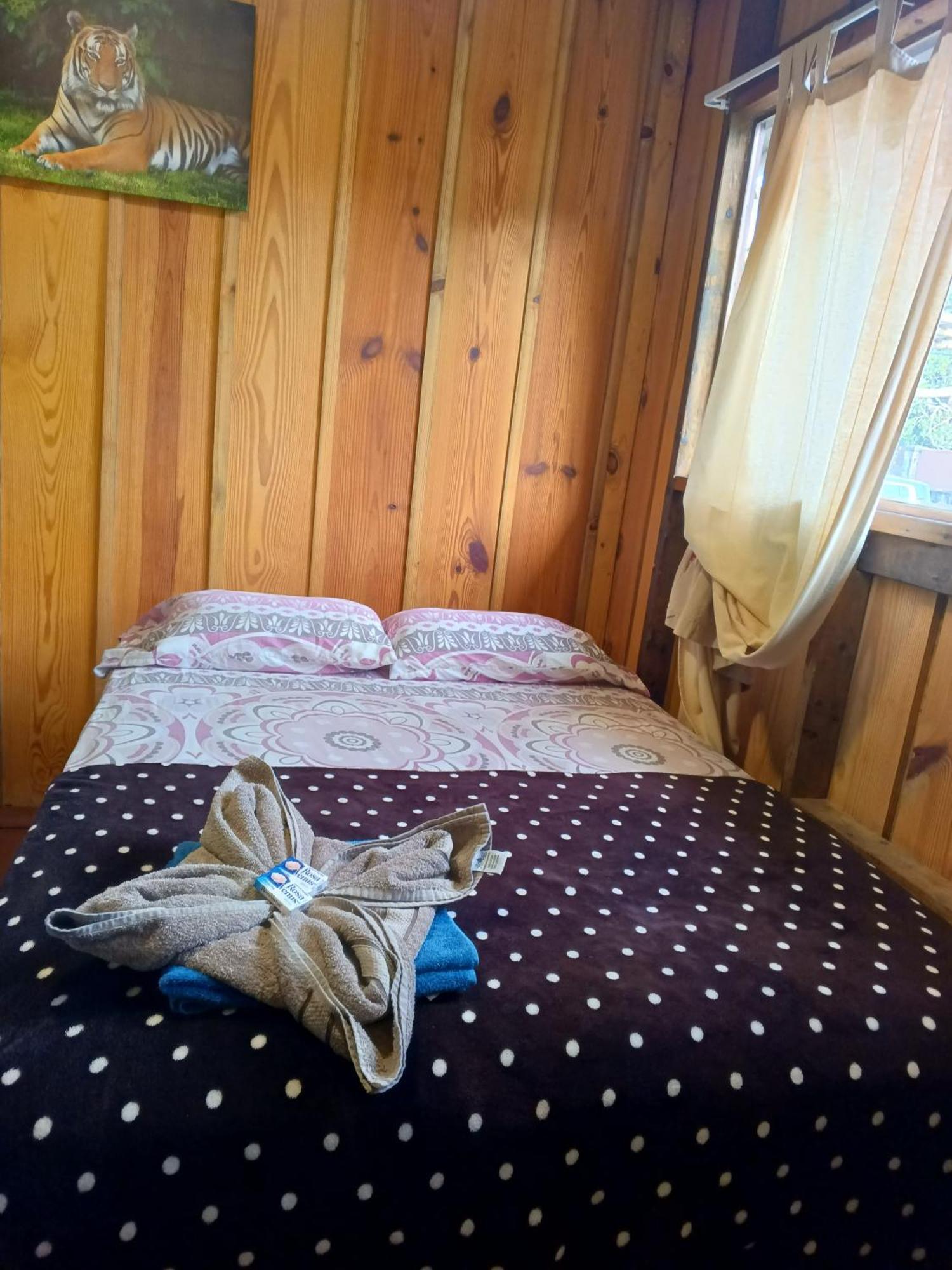 Hostal Vista Boquete Bajo Boquete エクステリア 写真