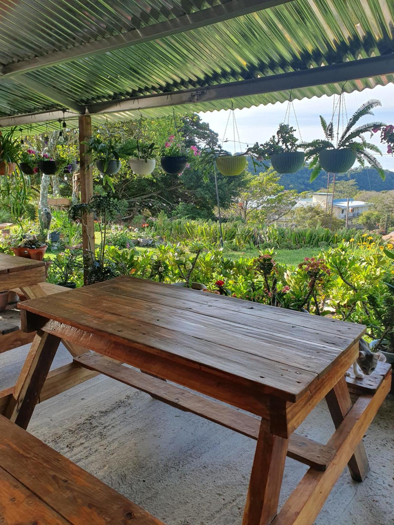 Hostal Vista Boquete Bajo Boquete エクステリア 写真