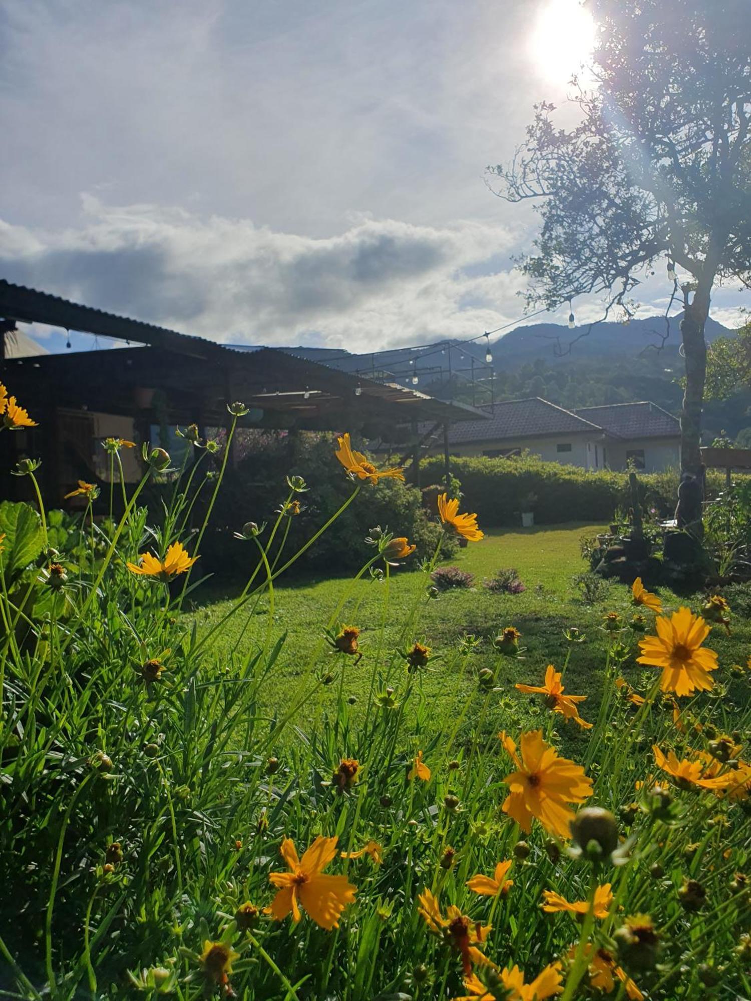 Hostal Vista Boquete Bajo Boquete エクステリア 写真